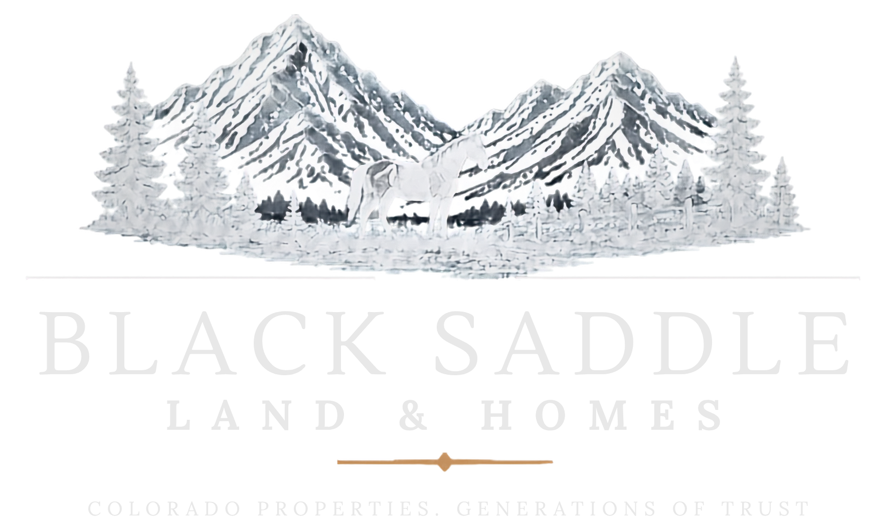 Black Saddle Land and Homes
